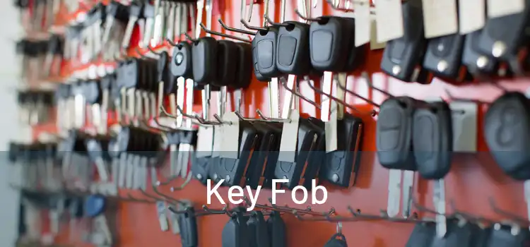  Key Fob 